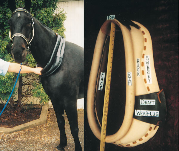 Horse Harness/Collar www.leonardo-da-vinci.edu.do