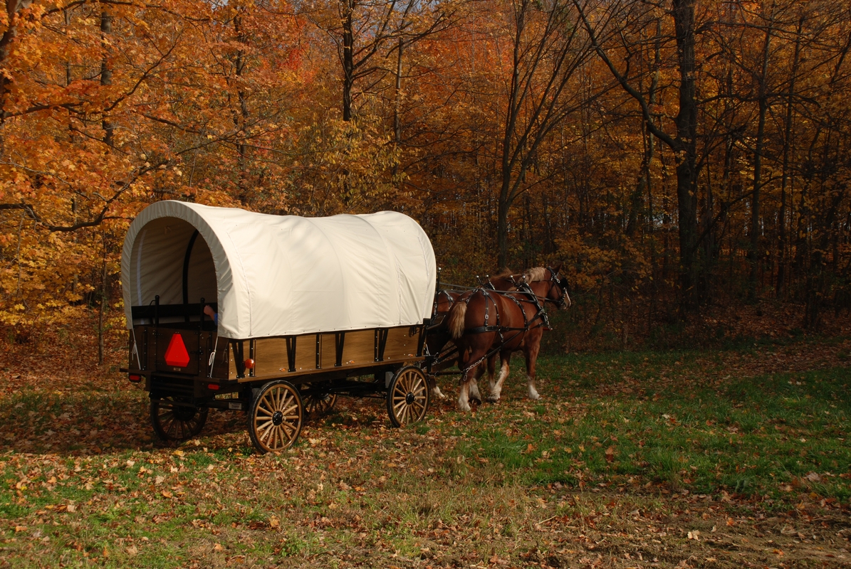 Parade Wagon People hauler Wagon