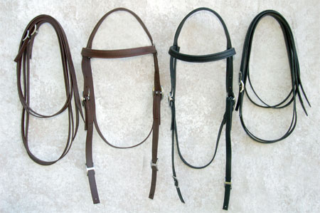 Riding Bridle - Bio & Beta