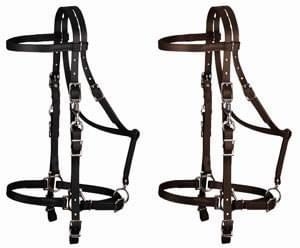 Halter Bridle Combo