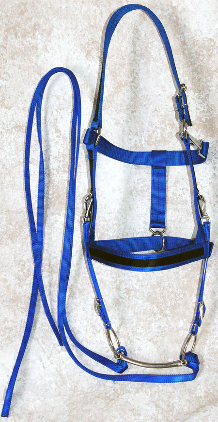 Halter Bridle Combo