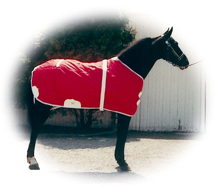 Winter Blanket 1700B - Water Proof.