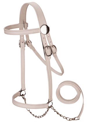 White or Brown Leather Halters and Bridles