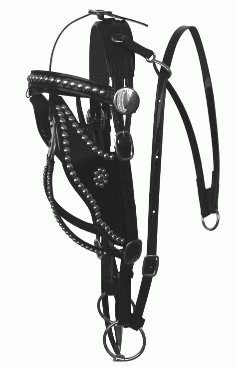 Driving Bridles Bio/Beta