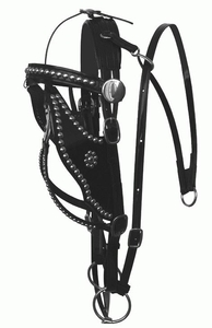 Driving Bridles Bio/Beta