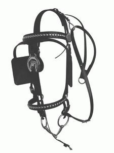 Driving Bridles Bio/Beta