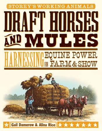 Draft Horse and Mules