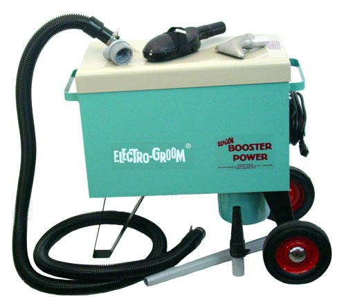 Electro Horse Groom