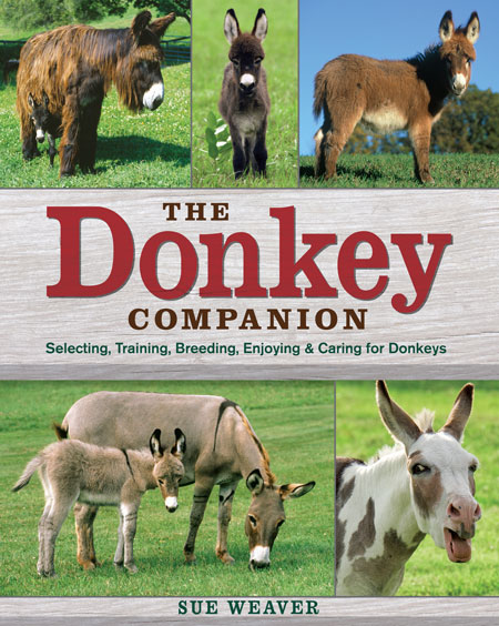 The Donkey Companion 62038