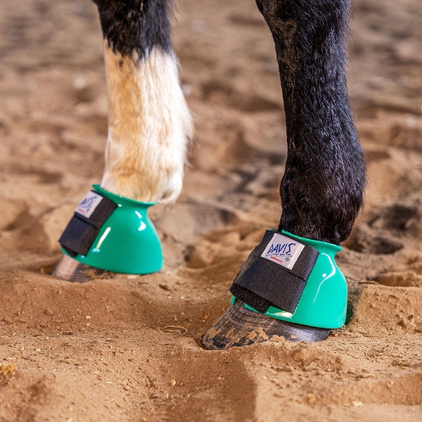 Draft Bell Boots