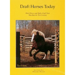 Draft Horses Today 032A