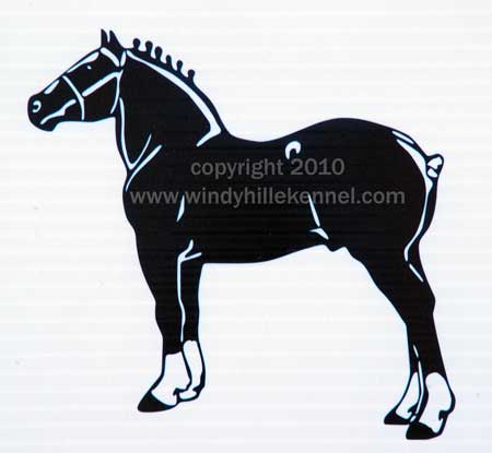 Draft Horse Halter Side Pose