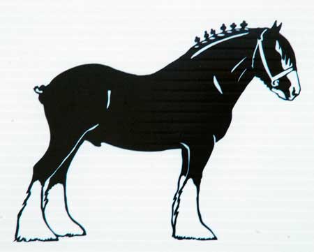 Clydesdale / Shire Decal