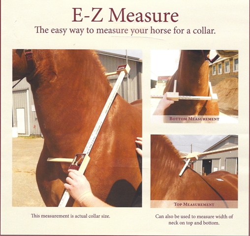 EZ Collar Measurer