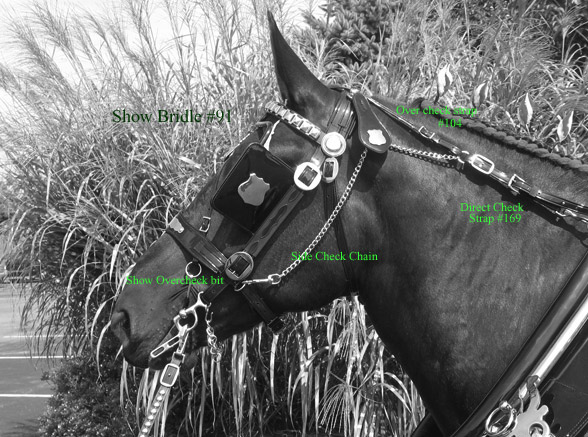 Direct check / Bridle parts