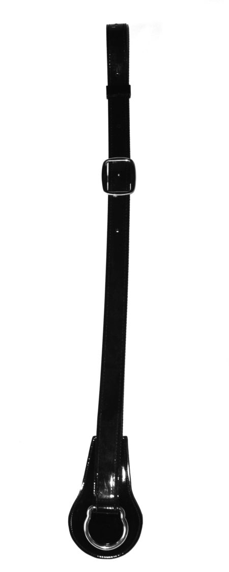 Pole Strap