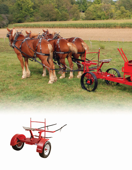 horse equipment for sale