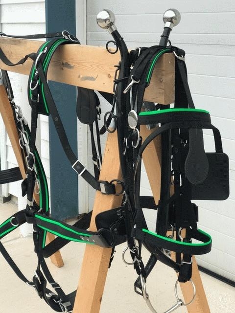 Nylon 3 Strap Harness