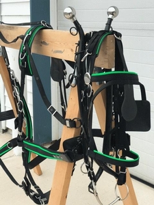 Nylon 3 Strap Harness
