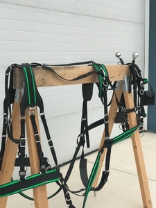 Nylon 3 Strap Harness