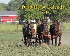 2022 Draft Horse Calendar