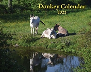 2022 Donkey Calendar
