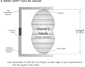 Measuring for a collar.