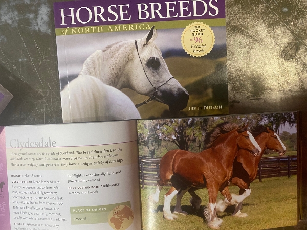 Horse Breeds of North America