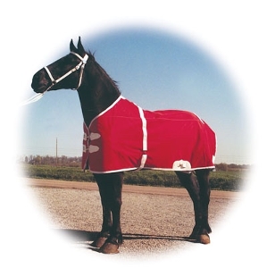 Horse Blankets and Sheets - SALE !