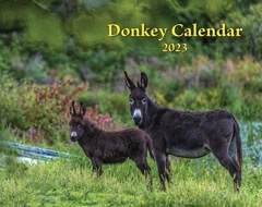 2023 Donkey Calendar