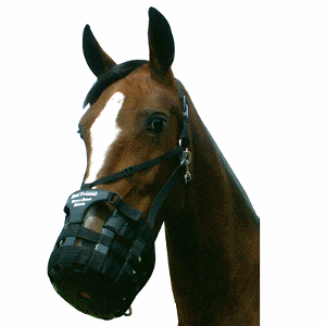 Have-A-Heart Draft Grazing Muzzle